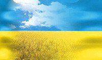 Виставка книг до Міжнародного дня рідної мови Виставка книг до Міжнародного дня рідної мови